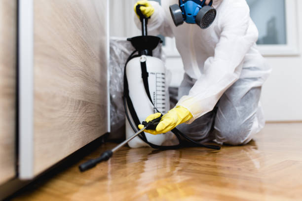Best Pest Inspection Near Me  in Hermann, MO
