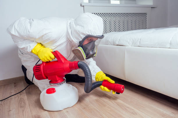 Reliable Hermann, MO Pest Control Solutions