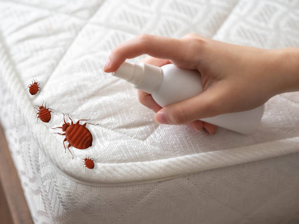 Best Flea Control Services  in Hermann, MO